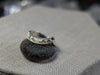 3.35g SILVER MONTANA SAPPHIRE RING SIZE 7.75