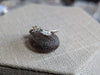 2.80g SILVER MONTANA SAPPHIRE RING SIZE 8