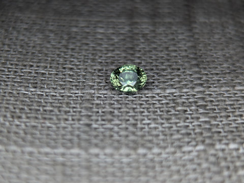 .53 CT SEA GREEN ROUND MONTANA SAPPHIRE