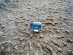 3.3ct BLUE TIGER MONTANA SAPPHIRE - Blaze-N-Gems