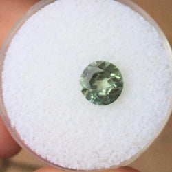 1.49 CT GREEN MONTANA SAPPHIRE - Blaze-N-Gems