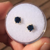 .81 TCW DARK BLUE MONTANA SAPPHIRE EARRINGS - Blaze-N-Gems