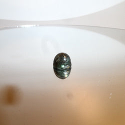 3.29 CAB DARK BLUE GREEN MT SAPPHIRE - Blaze-N-Gems