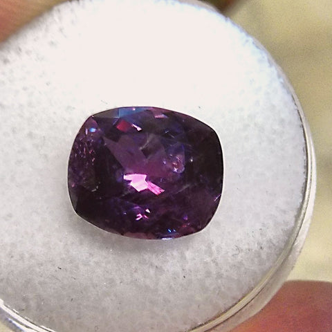 6.57ct ELDORADO PRINCESS MONTANA SAPPHIRE - Blaze-N-Gems